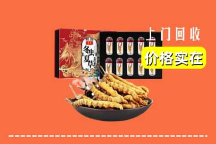 东兴市回收冬虫夏草